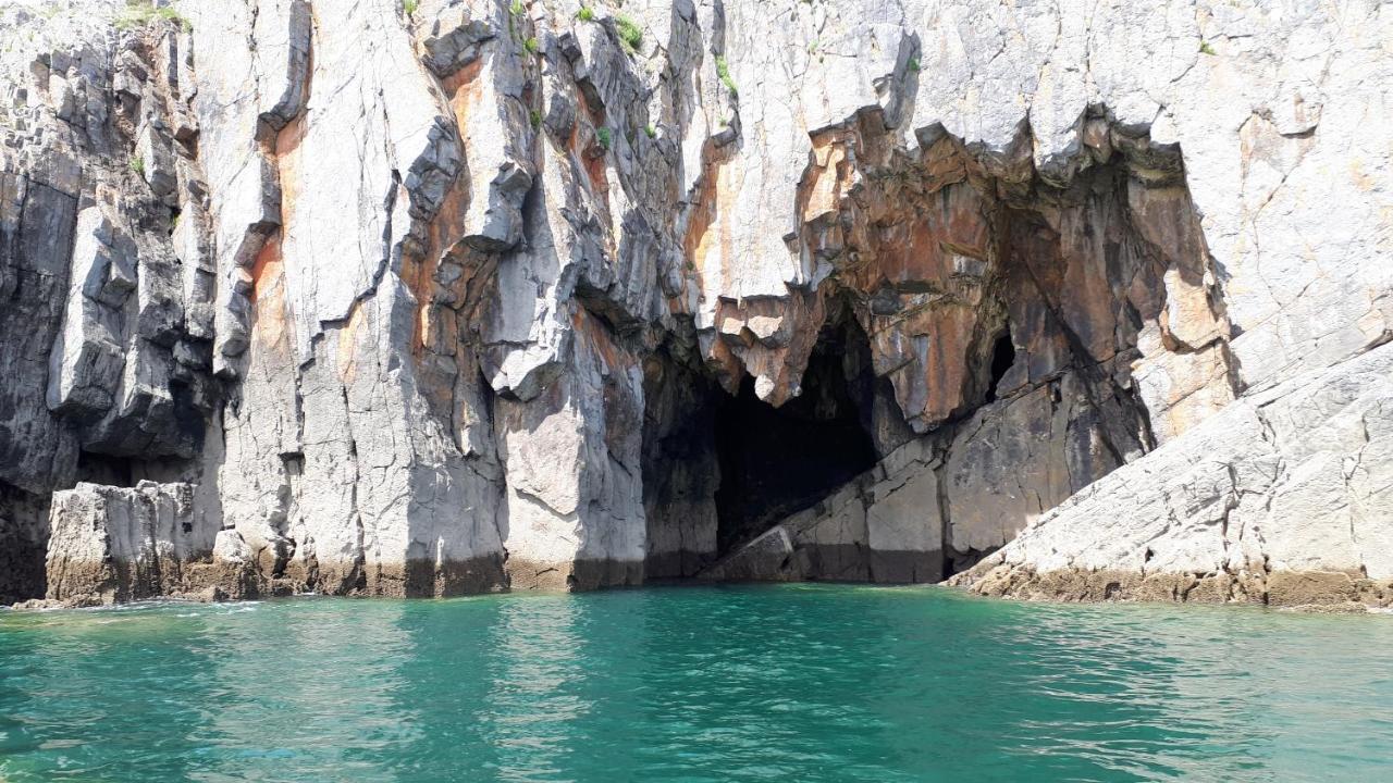 A Beach Holiday In Pembrokeshire Εξωτερικό φωτογραφία